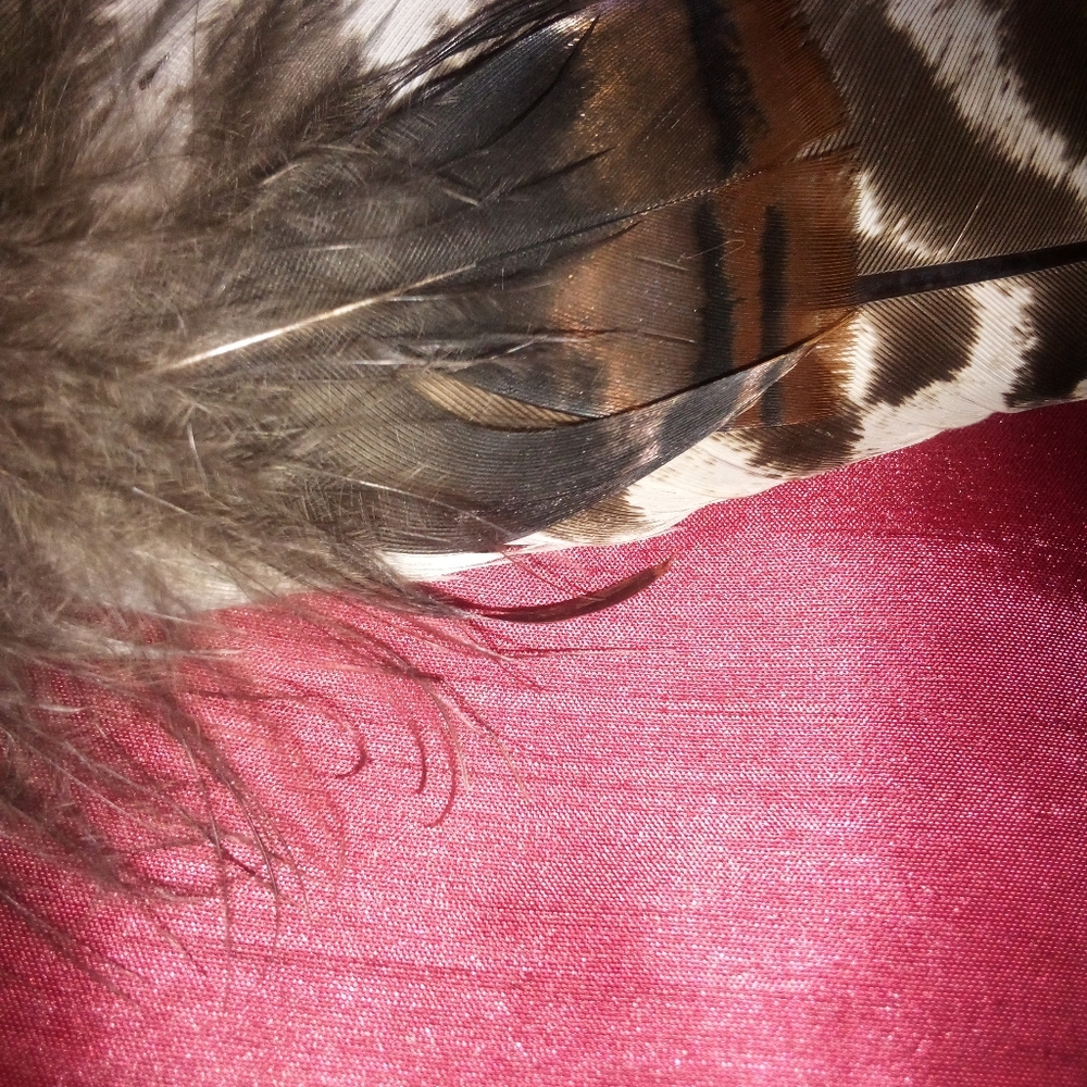 Smudging Feather - Picture 3 of 4